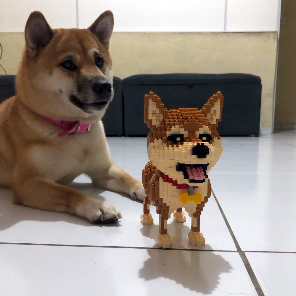 KNEW BUILT Shiba Inu Dogs Mode – Kids Education And Recreation Bewertung und Preis