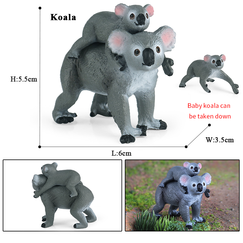 Oenux Klassische australische  – Kangaroo Kids Education Bewertung und Preis