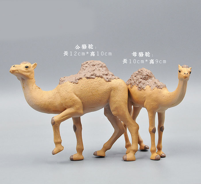 Simulation Tiere Modell Spielz – Kangaroo Kids Education Bewertung und Preis